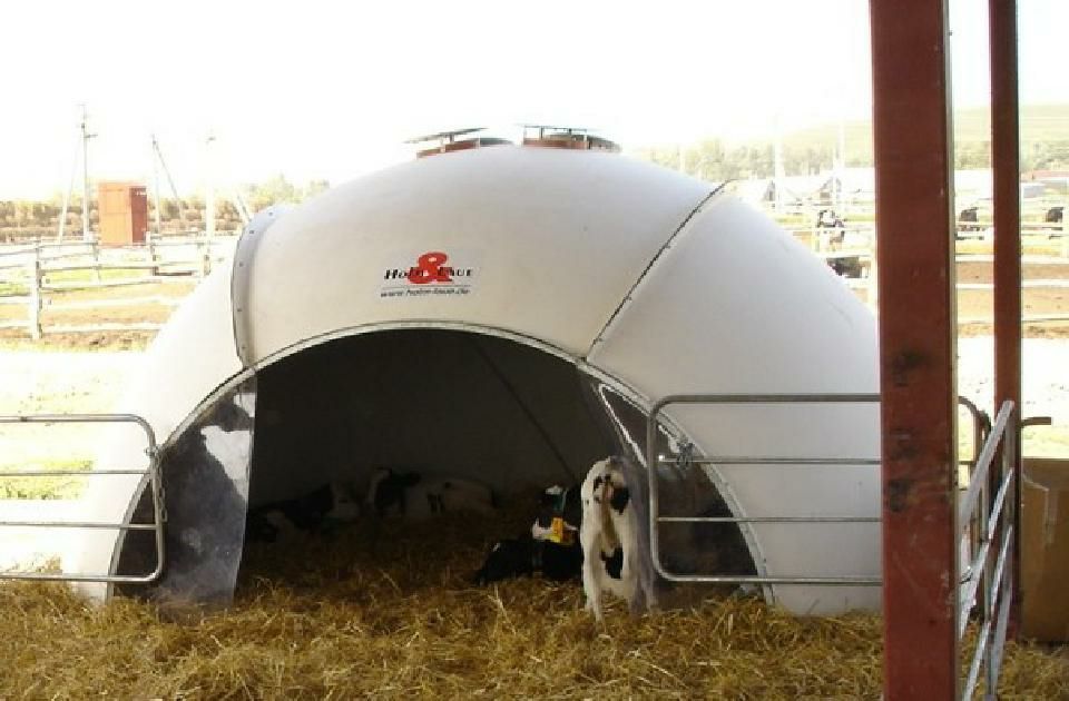 hundl-grossraumiglu-20-abnahme-1-iglu-holm-und-laue-gmbh-und-co-kg-stalleinrichtung-goldbach-ho89601000