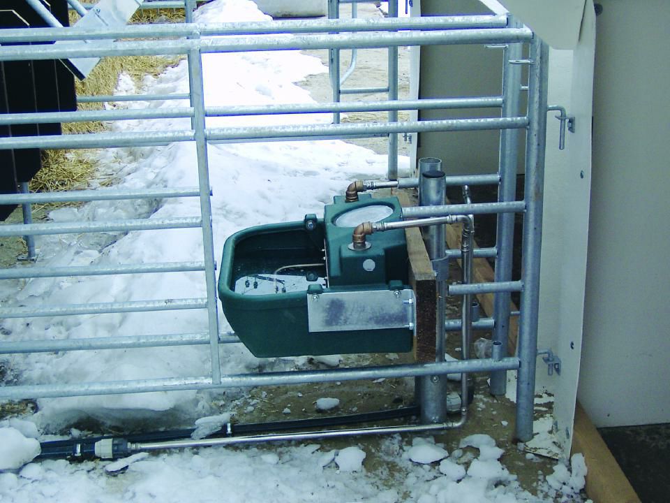 laufstall--und-weidetraenke-modell-wt30-suevia-haiges-gmbh-stalleinrichtung-goldbach-su1600030